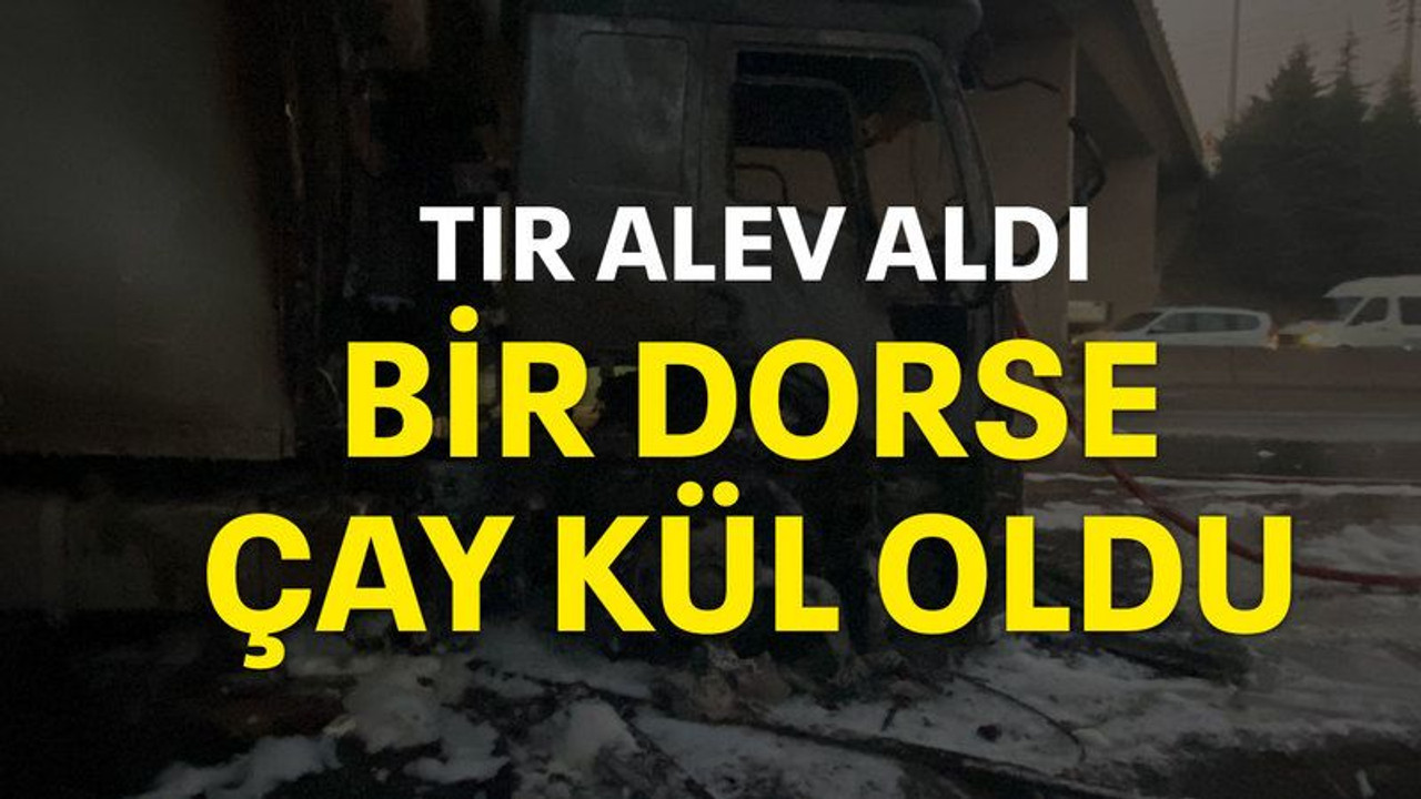 Tır alev aldı, bir dorse çay kül oldu